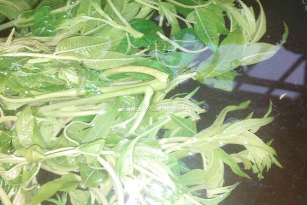 腌制香椿芽的做法图解2