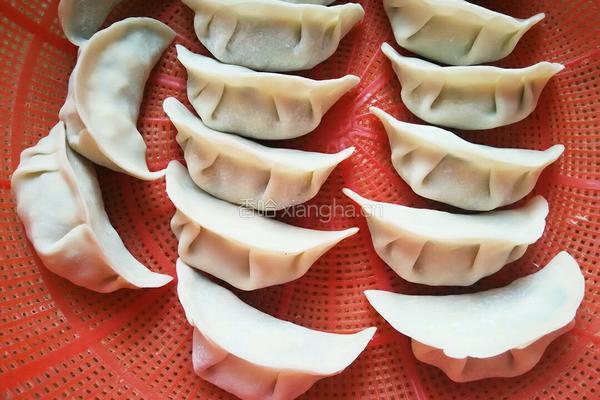 海米韭菜鸡蛋水饺的做法图解8