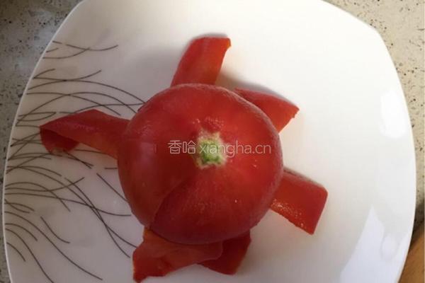 牛腩炖西红柿的做法图解5