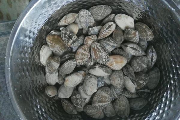 辣炒花蛤蜊的做法图解1