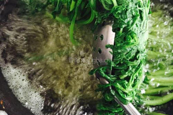 凉拌茼蒿的做法图解4