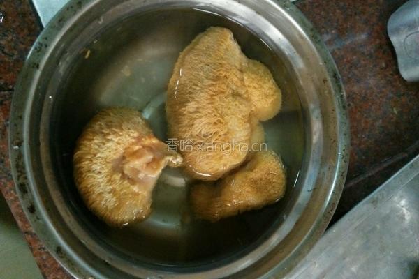 猴头菇炖排骨的做法图解2