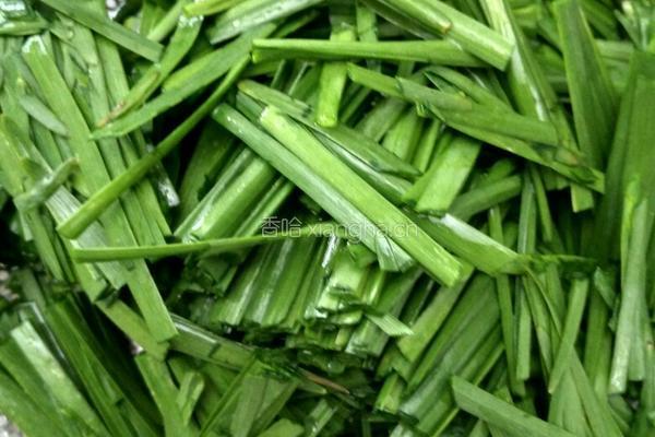 小河虾炒韭菜的做法图解4