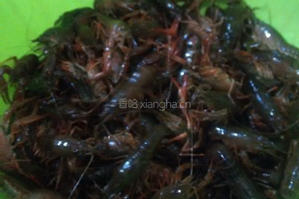 口味龙虾尾的做法图解1