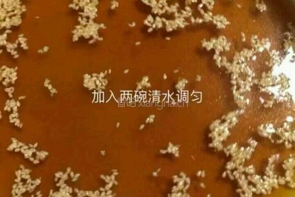 正宗冷面的做法图解15