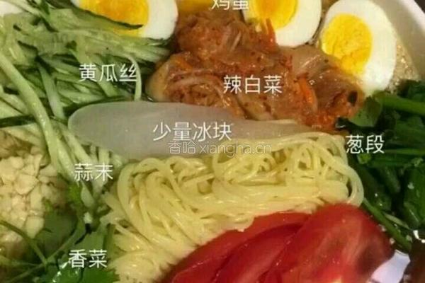 正宗冷面的做法图解16