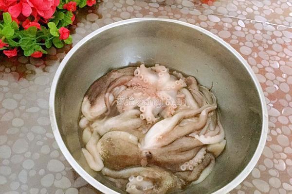 酱爆八爪鱼的做法图解1