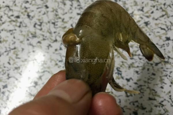 干锅香辣虾的做法图解2