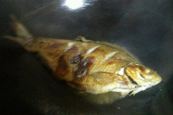 红烧武昌鱼的做法图解6