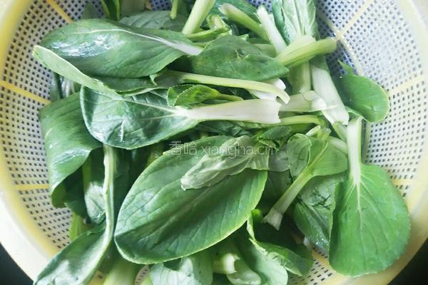 蒜蓉炒小油菜的做法图解1