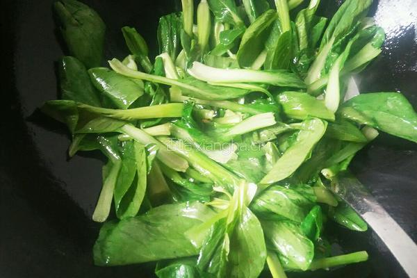 蒜蓉炒小油菜的做法图解4