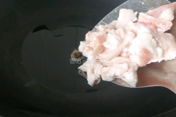 萝卜烧肉的做法图解4