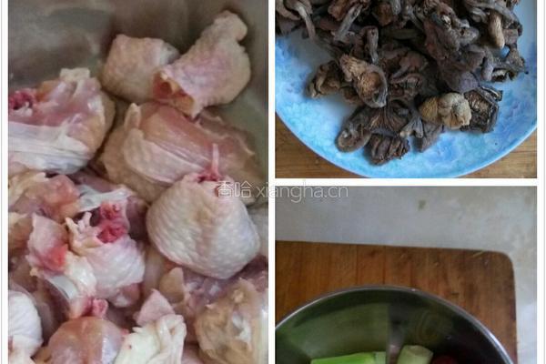 野蘑菇炖鸡的做法图解1
