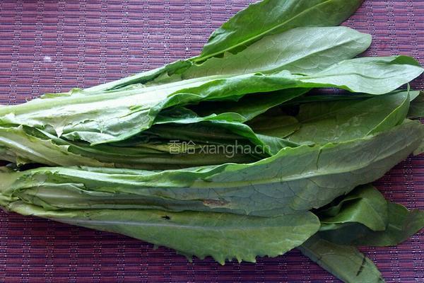 麻酱油麦菜的做法图解1