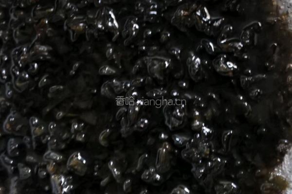 凉拌地皮菜的做法图解2