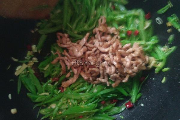 四季豆炒肉丝的做法图解11
