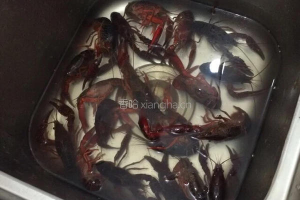 红烧小龙虾的做法图解2