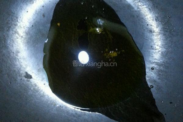 炒蘑菇的做法图解3