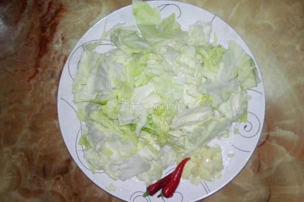 素炒洋白菜的做法图解1