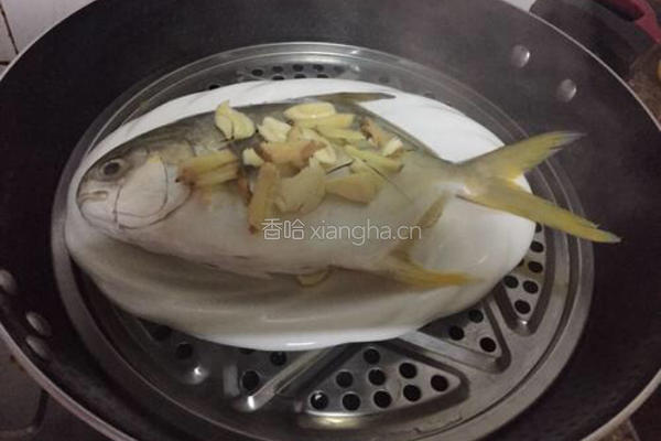 清蒸金鲳鱼的做法图解6