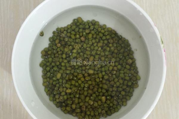 泡发绿豆芽的做法图解1