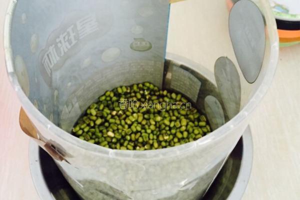 泡发绿豆芽的做法图解4