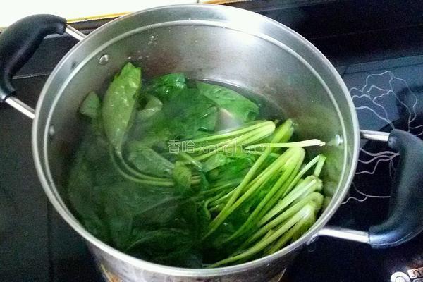菠菜粉条的做法图解5