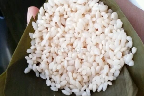 鲜肉粽子的做法图解7
