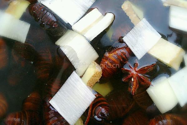 盐水煮蚕蛹的做法图解3