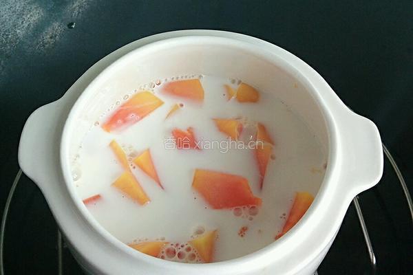 木瓜牛奶的做法图解4