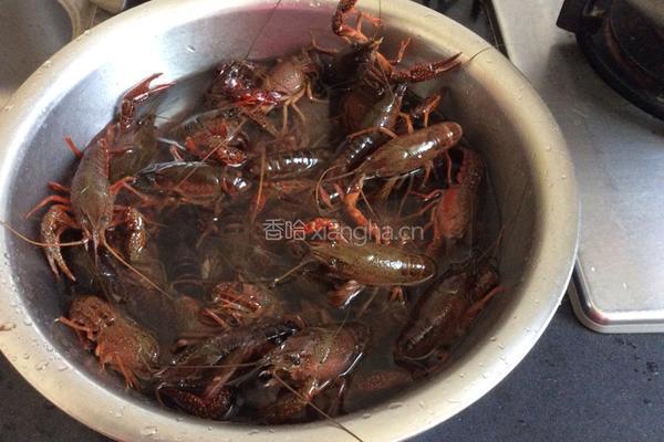 香辣龙虾的做法图解1