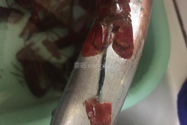 十三香小龙虾的做法图解3