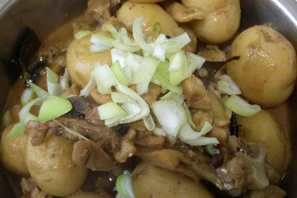 小土豆炖鸡块的做法图解12