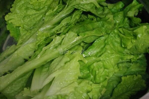 凉拌生菜的做法图解1