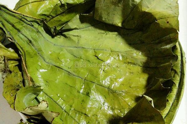 荷叶糯米蒸排骨的做法图解6
