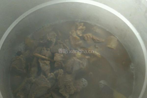 白萝卜炖牛腩的做法图解5