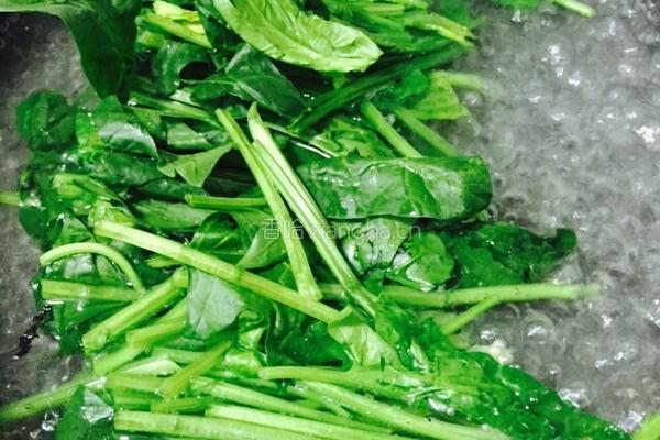 菠菜炖豆腐的做法图解4