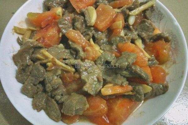 番茄牛肉的做法图解6