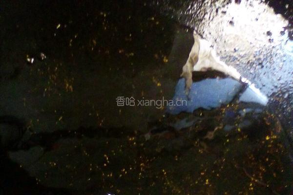 油酥饼的做法图解11