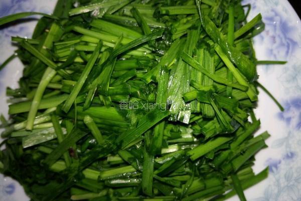 黑木耳韭菜鸡蛋蒸包子的做法图解1