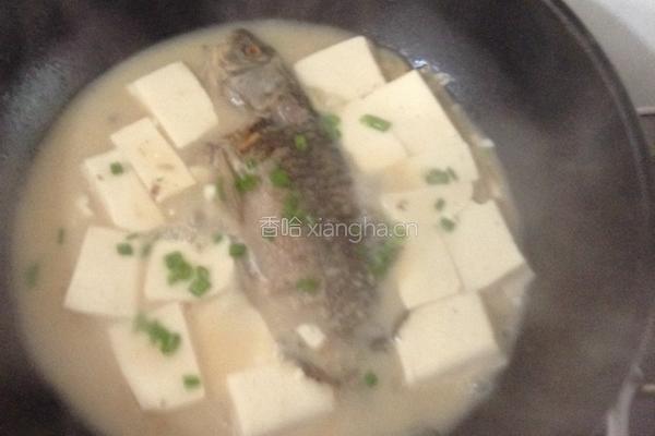 豆腐鱼汤的做法图解7