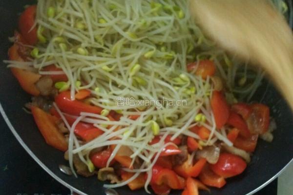 豆芽的做法图解5
