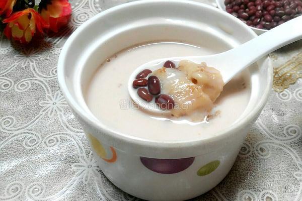 牛奶炖花胶的做法图解10