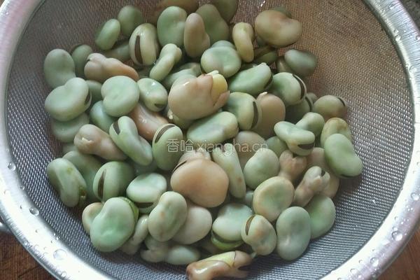 蚕豆煲的做法图解3