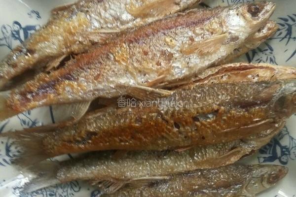 红烧刁子鱼的做法图解5