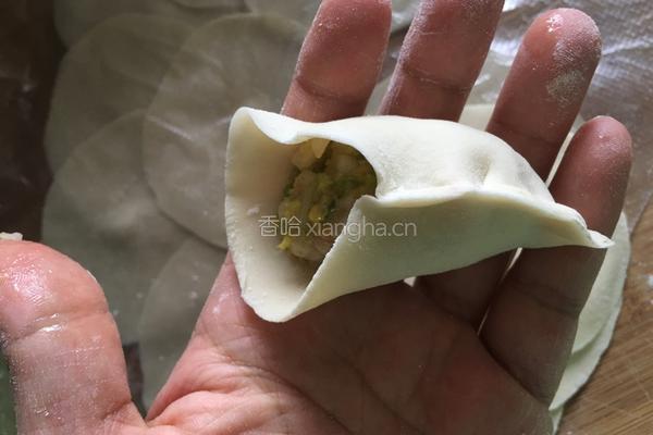 白菜猪肉馅饺子的做法图解14