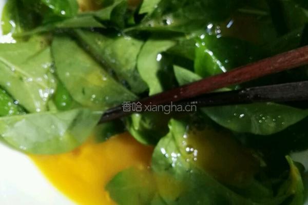 枸杞叶炒鸡蛋的做法图解4