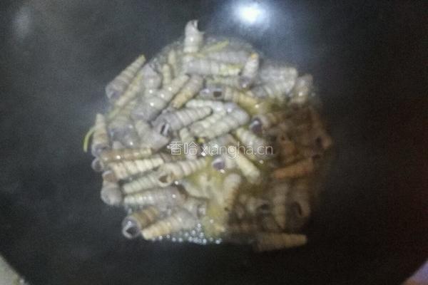 辣炒海丁的做法图解4