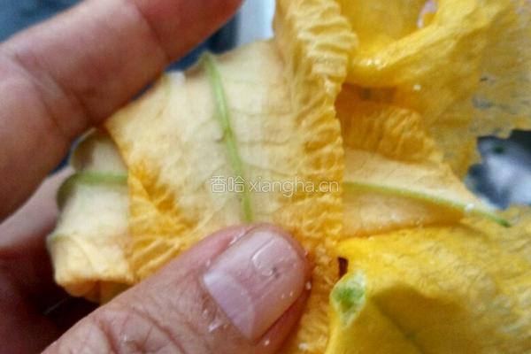 酿南瓜花的做法图解6