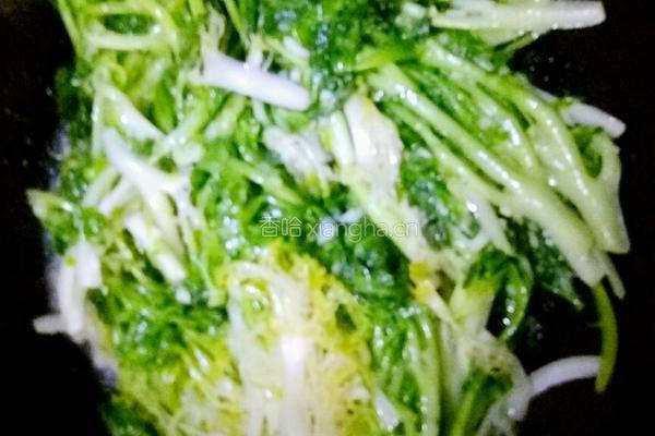 清炒苦菊的做法图解6